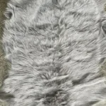 Himalayan Goat Hides