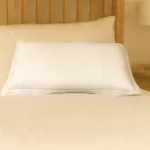 Silk Plain Pillowcase WHITE