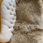 Tree Bark - Tibetan Lamb Hide